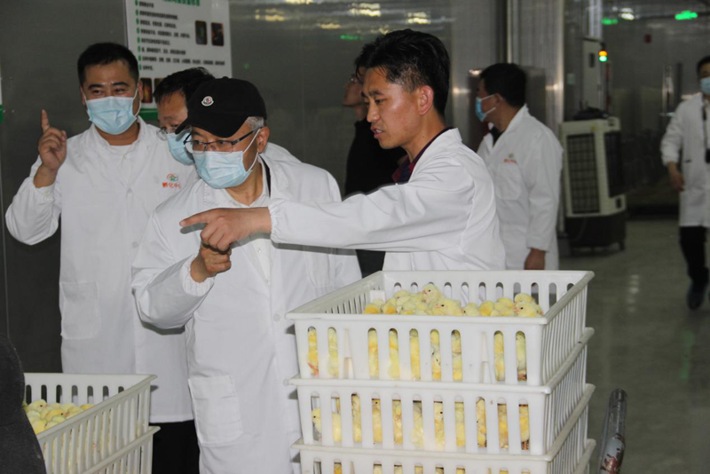 1685780199149614.png 4.png